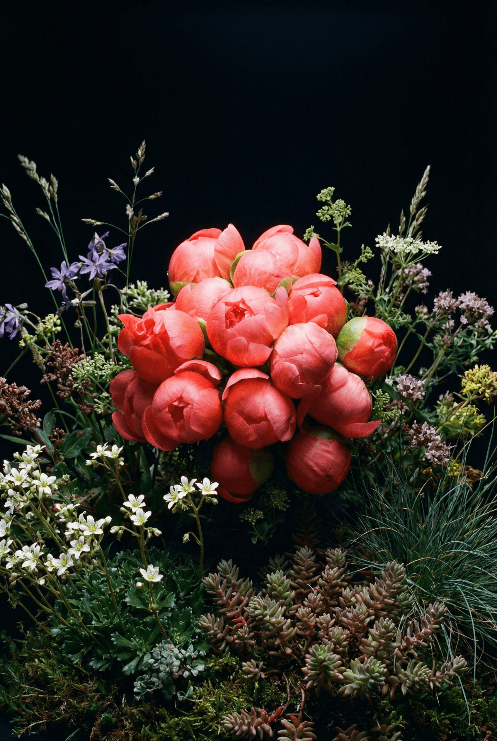 이달의 꽃 additional view