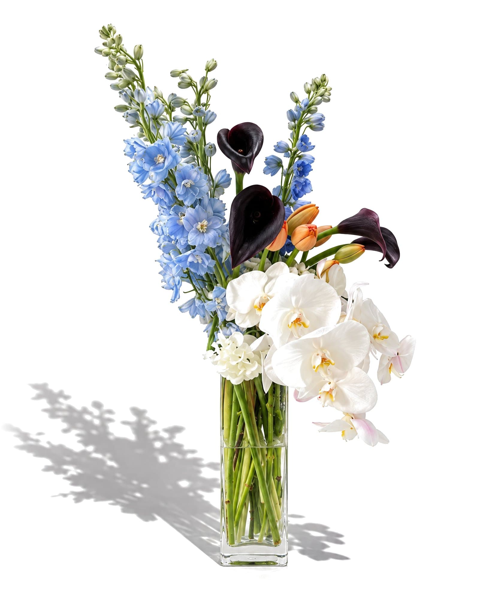 Vase 1 스타일